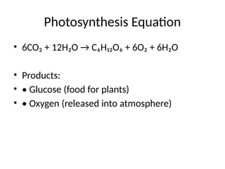 Photosynthesis Equation
• 6CO₂ + 12H₂O → C₆H₁₂O₆ + 6O₂ + 6H₂O
• Products:
• • Glucose (food for plants)
• • Oxygen (released into atmosphere)
 