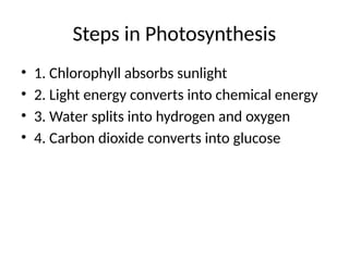 Steps in Photosynthesis
• 1. Chlorophyll absorbs sunlight
• 2. Light energy converts into chemical energy
• 3. Water splits into hydrogen and oxygen
• 4. Carbon dioxide converts into glucose
 