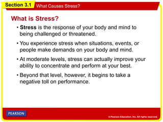 What Causes Stress?