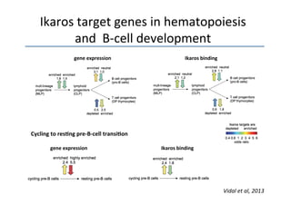 Ikaros	
  target	
  genes	
  in	
  hematopoiesis	
  
            and	
  	
  B-­‐cell	
  development	
  
                                                             	
  gene	
  expression	
  	
  	
  	
  	
  	
  	
  	
  	
  	
  	
  	
  	
  	
  	
  	
  	
  	
  	
  	
  	
  	
  	
  	
  	
  	
  	
  	
  	
  	
  	
  	
  	
  	
  	
  	
  	
  	
  	
  	
  	
  	
  	
  	
  	
  	
  	
  	
  	
  	
  	
  	
  	
  	
  	
  	
  	
  	
  	
  Ikaros	
  binding	
  




Cycling	
  to	
  resNng	
  pre-­‐B-­‐cell	
  transiNon	
  

        	
  	
  	
  	
  gene	
  expression	
  	
  	
  	
  	
  	
  	
  	
  	
  	
  	
  	
  	
  	
  	
  	
  	
  	
  	
  	
  	
  	
  	
  	
  	
  	
  	
  	
  	
  	
  	
  	
  	
  	
  	
  	
  	
  	
  	
  	
  	
  	
  	
  	
  	
  	
  	
  	
  	
  	
  	
  	
  	
  	
  	
  	
  	
  	
  	
  Ikaros	
  binding	
  




                                                                                                                                                                                                                                                                                                                                                       Vidal	
  et	
  al,	
  2013	
  
 