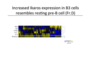 Increased	
  Ikaros	
  expression	
  in	
  B3	
  cells	
  
  resembles	
  res3ng	
  pre-­‐B	
  cell	
  (Fr.D)	
  

        MLP	
  
         CLP	
  
     Fr.B/C	
  
       Fr.C’	
  
        Fr.D	
  
B3	
  Ikaros	
  


                                            -1.5      0      +1.5
                                                   log2 ratio
 