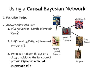 An Introduction to Causal Discovery, a Bayesian Network Approach | PDF