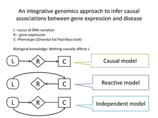 An Introduction to Causal Discovery, a Bayesian Network Approach | PDF