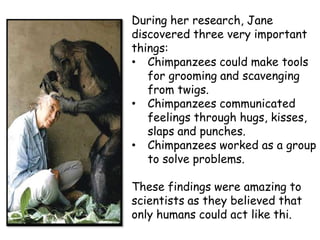 During her research, Jane
discovered three very important
things:
• Chimpanzees could make tools
   for grooming and scavenging
   from twigs.
• Chimpanzees communicated
   feelings through hugs, kisses,
   slaps and punches.
• Chimpanzees worked as a group
   to solve problems.

These findings were amazing to
scientists as they believed that
only humans could act like thi.
 