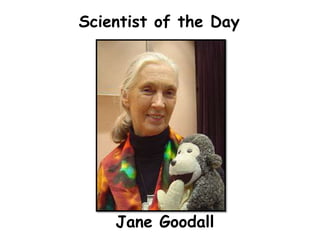 Scientist of the Day




    Jane Goodall
 