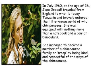 In July 1960, at the age of 26,
Jane Goodall traveled from
England to what is today
Tanzania and bravely entered
the little-known world of wild
chimpanzees. She was
equipped with nothing more
than a notebook and a pair of
binoculars.

She managed to become a
member of a chimpanzee
family or ‘troop’ by being kind,
and respectful of the ways of
the chimpanzee.
 