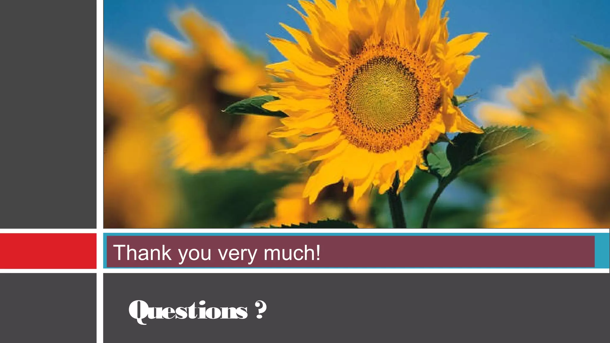 Thank you very much! 
Questions ? 
