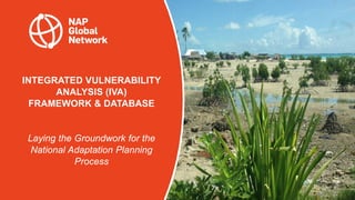 INTEGRATED VULNERABILITY
ANALYSIS (IVA)
FRAMEWORK & DATABASE
Laying the Groundwork for the
National Adaptation Planning
Process
 