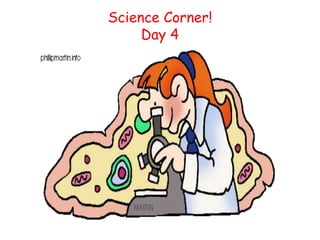 Science Corner!
Day 4

 