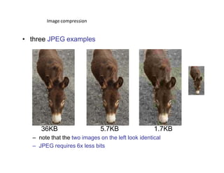 DIGITAL IMAGE PROCESSING - Day 4 Image Transform | PDF