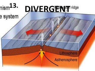 13.
      DIVERGENT
 
