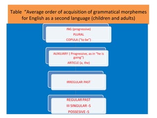 Table “Average order of acquisition of grammatical morphemes
for English as a second language (children and adults)
 