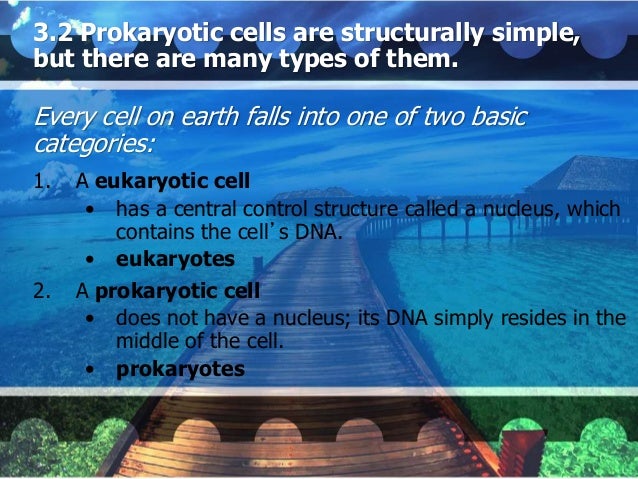 Day 4 September 4th 2014 Chapters 2 and 3 Lipids and Cells