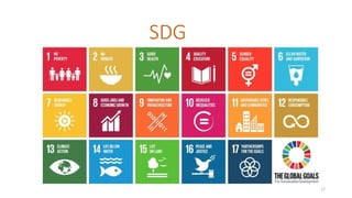 27
SDG
 