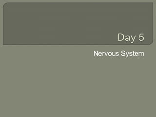 Nervous System
 