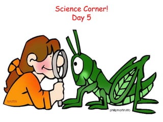 Science Corner!
     Day 5
 