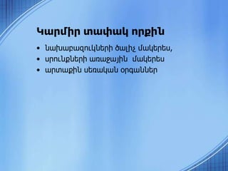 • նախաբազուկների ծալիչ մակերես,
• սրունքների առաջային մակերես
• արտաքին սեռական օրգաններ
Կարմիր տափակ որքին
 