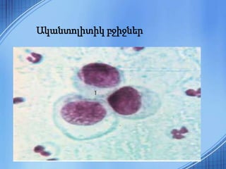 Ականտոլիտիկ բջիջներ
 
