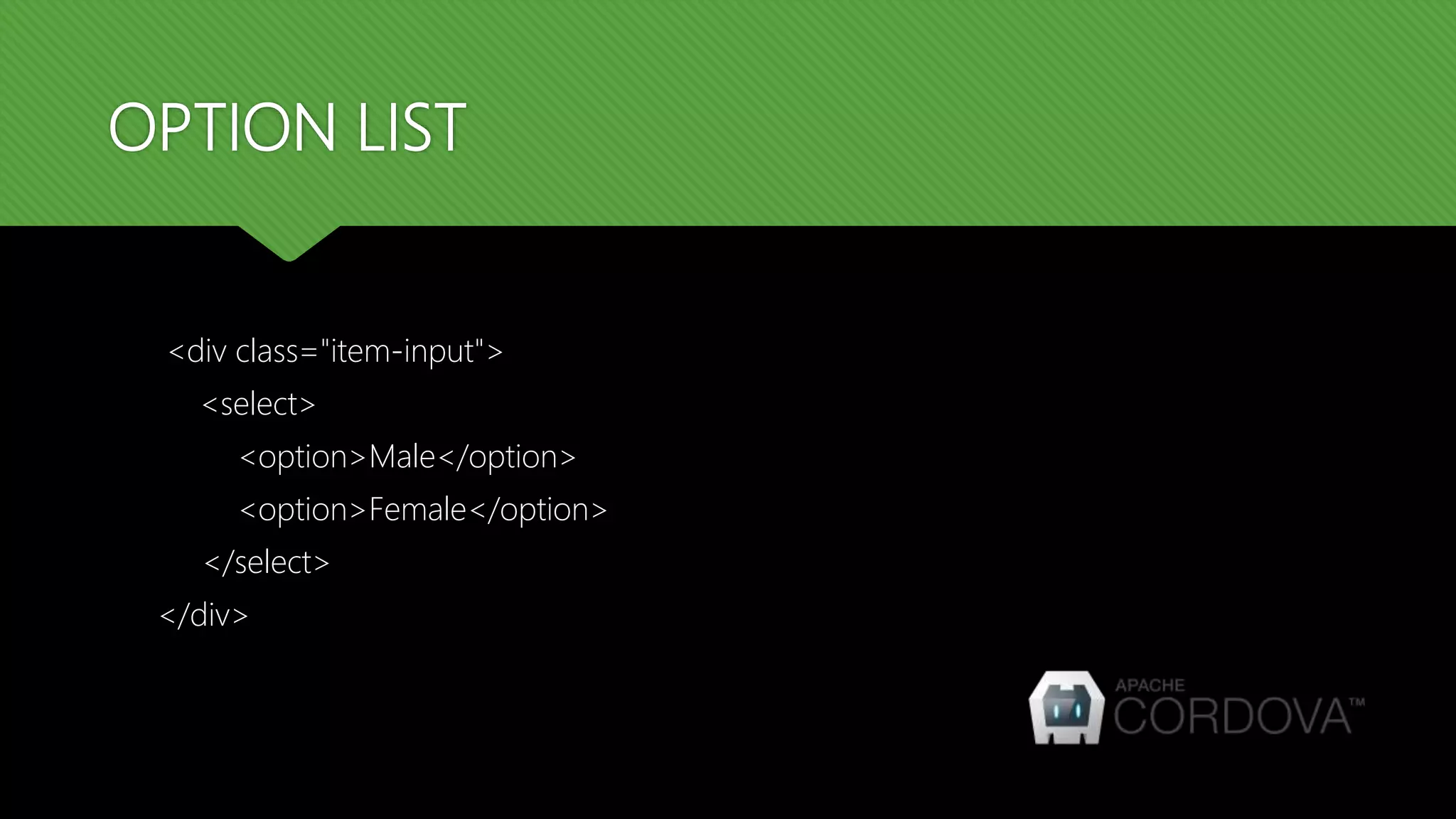 OPTION LIST <div class="item-input"> <select> <option>Male</option> <option>Female</option> </select> </div> 