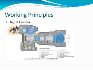 Working Principles
 Digital Camera
 