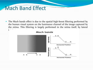 Mach Band Effect
 The Mach bands effect is due to the spatial high-boost filtering performed by
the human visual system on the luminance channel of the image captured by
the retina. This filtering is largely performed in the retina itself, by lateral
inhibition among its neurons.
 