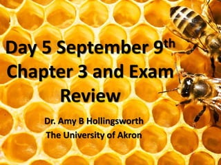 Day 5 September 9th 
Chapter 3 and Exam 
Review 
Dr. Amy B Hollingsworth 
The University of Akron 
 