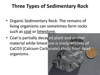 Three Types of Sedimentary Rock

• Organic Sedimentary Rock: The remains of
  living organisms can sometimes form rocks
  such as coal or limestone.
• Coal is partially decayed plant and animal
  material while limestone is made entirely of
  CaCO3 (Calcium Carbonate) shells from dead
  organisms.
 