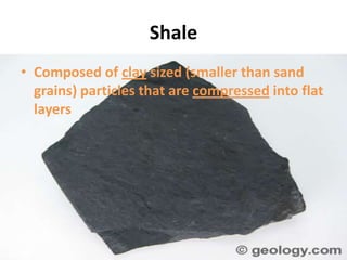 Shale
• Composed of clay sized (smaller than sand
  grains) particles that are compressed into flat
  layers
 