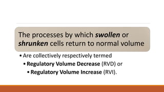 Day 6 b -P5bCONTROL OF ICF VOLUME (8f) 2.pptx