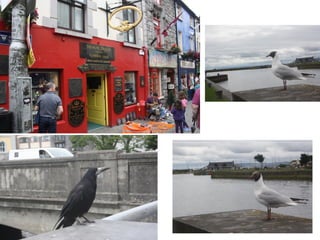 Day 6 Galway