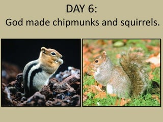 DAY 6:
God made chipmunks and squirrels.
 