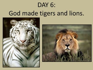 DAY 6:
God made tigers and lions.
 