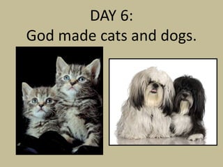 DAY 6:
God made cats and dogs.
 
