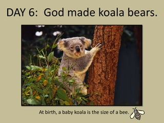 DAY 6: God made koala bears.




      At birth, a baby koala is the size of a bee.
 