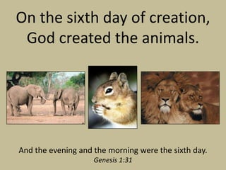 On the sixth day of creation,
 God created the animals.




And the evening and the morning were the sixth day.
                    Genesis 1:31
 