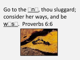 Go to the n , thou sluggard;
consider her ways, and be
w s . Proverbs 6:6
 