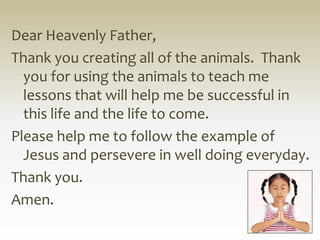 Dear Heavenly Father,
Thank you creating all of the animals. Thank
  you for using the animals to teach me
  lessons that will help me be successful in
  this life and the life to come.
Please help me to follow the example of
  Jesus and persevere in well doing everyday.
Thank you.
Amen.
 