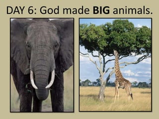 DAY 6: God made BIG animals.
 
