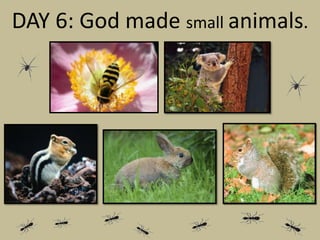DAY 6: God made small animals.
 