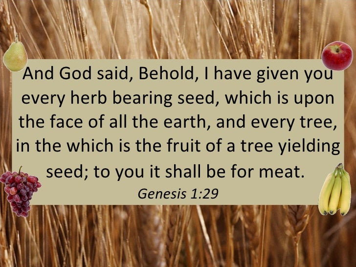 Creation Day 6 Part 2