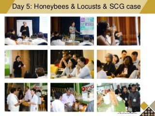 Day 5: Honeybees & Locusts & SCG case
 