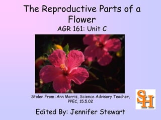 The Reproductive Parts of a
Flower
AGR 161: Unit C
Stolen From :Ann Morris, Science Advisory Teacher,
PPEC, 15.5.02
Edited By: Jennifer Stewart
 