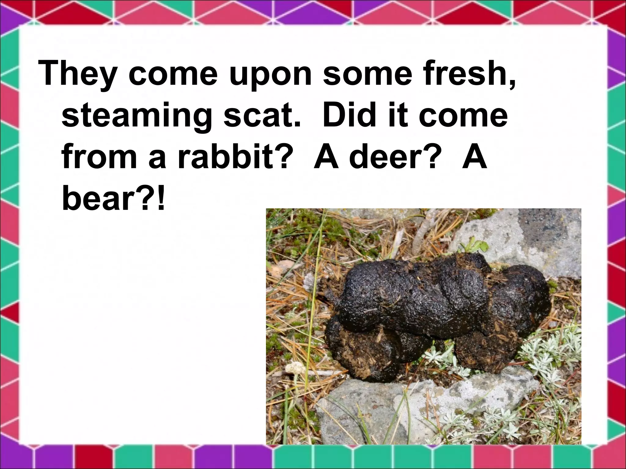 They come upon some fresh,
steaming scat. Did it come
from a rabbit? A deer? A
bear?!
 