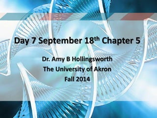 Day 7 September 18th Chapter 5 
Dr. Amy B Hollingsworth 
The University of Akron 
Fall 2014 
 