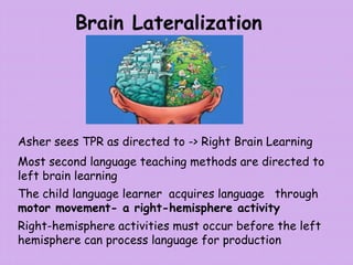 Asher sees TPR as directed to -> Right Brain Learning
The child language learner acquires language through
motor movement- a right-hemisphere activity
Brain Lateralization
Most second language teaching methods are directed to
left brain learning
Right-hemisphere activities must occur before the left
hemisphere can process language for production
 