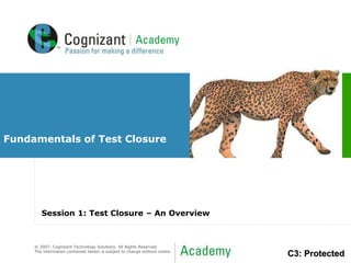 © 2007, Cognizant Technology Solutions. All Rights Reserved.
The information contained herein is subject to change without notice.
C3: Protected
Fundamentals of Test Closure
Session 1: Test Closure – An Overview
 
