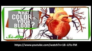 Day 9 - 11 - Human Body Systems - Respiratory and Circulatory Systems.pptx