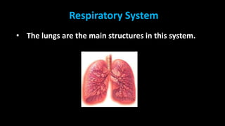 Day 9 - 11 - Human Body Systems - Respiratory and Circulatory Systems.pptx