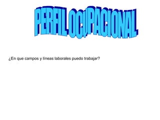 PERFIL OCUPACIONAL ¿En que campos y líneas laborales puedo trabajar?