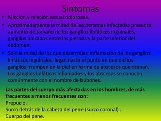 SíntomasMicción y relación sexual dolorosas. Aproximadamente la mitad de las personas infectadas presenta aumento de tamaño de los ganglios linfáticos inguinales, ganglios ubicados entre las piernas y la parte inferior del abdomen. Solo la mitad de los que desarrollan inflamación de los ganglios linfáticos inguinales llegan hasta el punto en que dichos ganglios irrumpen en la piel en forma de abscesos que drenan.Los ganglios linfáticos inflamados y los abscesos se conocen comúnmente con el nombre de bubones. Las partes del cuerpo más afectadas en los hombres, de más frecuentes a menos frecuentes son: Prepucio. Surco detrás de la cabeza del pene (surco coronal) . Cuerpo del pene. 
